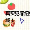 真實犯罪紐約城有手機版嗎（真實犯罪 紐約城）