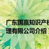 廣東國贏知識產權代理有限公司（關于廣東國贏知識產權代理有限公司介紹）
