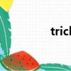 trick（關于trick的簡介）