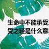 生命中不能承受之輕是什么意思?舉例說明（生命中不能承受之輕是什么意思）