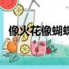 像火花像蝴蝶（關于像火花像蝴蝶的簡介）