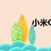 小米CC（關于小米CC簡介）