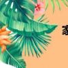 家族網頁（家族網）
