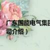 廣東國能電氣集團有限公司（關于廣東國能電氣集團有限公司介紹）