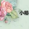 小箱柯（關于小箱柯簡介）