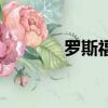 羅斯福（關于羅斯福的簡介）