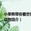 小笨熊帶你看世界·森林動物（關于小笨熊帶你看世界·森林動物簡介）