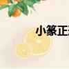 小篆正形（關于小篆正形簡介）
