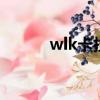 wlk卡拉贊怎么去（klz怎么去）