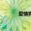 愛情狗（關于愛情狗的簡介）