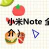 小米Note 全網通（關于小米Note 全網通簡介）