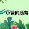 小管間質腎病（關于小管間質腎病簡介）