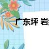 廣東坪 巖組（關于廣東坪 巖組介紹）