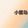 小管島村（關于小管島村簡介）