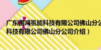 廣東國鴻氫能科技有限公司佛山分公司(關于廣東國鴻氫能科技有限公司佛山分公司介紹)