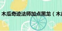 木瓜奇跡法師加點黑龍(木瓜奇跡法師加點)