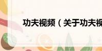 功夫視頻(關于功夫視頻的簡介)