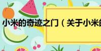 小米的奇跡之門(關于小米的奇跡之門簡介)