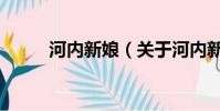 河內新娘(關于河內新娘的簡介)