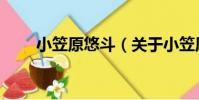 小笠原悠斗(關于小笠原悠斗簡介)