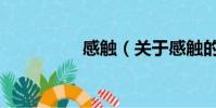感觸(關于感觸的簡介)
