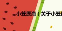 小笠原海(關于小笠原海簡介)