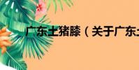 廣東土豬膝(關于廣東土豬膝介紹)