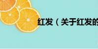 紅發(關于紅發的簡介)