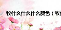 牧什么什么什么顏色(牧什么什么什么)