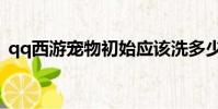 qq西游寵物初始應該洗多少(qq西游寵物)