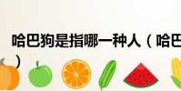 哈巴狗是指哪一種人(哈巴狗分別指哪一類人)