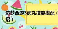 造夢西游3虎丸技能搭配(造夢西游3虎丸配招)