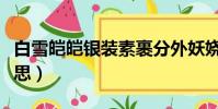 白雪皚皚銀裝素裹分外妖嬈的意思(妖嬈的意思)