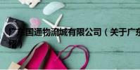 廣東國通物流城有限公司(關于廣東國通物流城有限公司介紹)