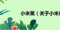 小米蕉(關于小米蕉簡介)