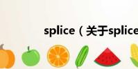 splice(關于splice的簡介)