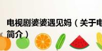 電視劇婆婆遇見媽(關于電視劇婆婆遇見媽的簡介)