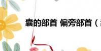 囊的部首 偏旁部首(囊的部首)