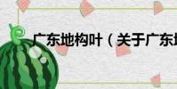 廣東地構葉(關于廣東地構葉介紹)