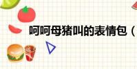呵呵母豬叫的表情包(呵呵 母豬)