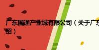 廣東國通產業城有限公司(關于廣東國通產業城有限公司介紹)