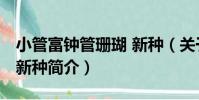 小管富鐘管珊瑚 新種(關于小管富鐘管珊瑚 新種簡介)