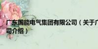 廣東國能電氣集團有限公司(關于廣東國能電氣集團有限公司介紹)