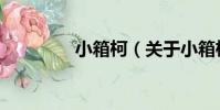 小箱柯(關于小箱柯簡介)
