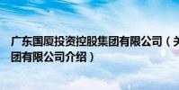 廣東國廈投資控股集團有限公司(關于廣東國廈投資控股集團有限公司介紹)