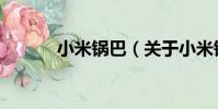 小米鍋巴(關于小米鍋巴簡介)