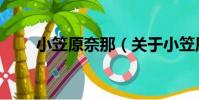 小笠原奈那(關于小笠原奈那簡介)