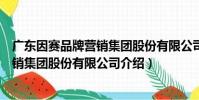 廣東因賽品牌營銷集團股份有限公司(關于廣東因賽品牌營銷集團股份有限公司介紹)