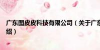 廣東圖皮皮科技有限公司(關于廣東圖皮皮科技有限公司介紹)