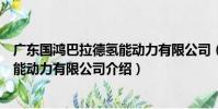 廣東國鴻巴拉德氫能動力有限公司(關于廣東國鴻巴拉德氫能動力有限公司介紹)